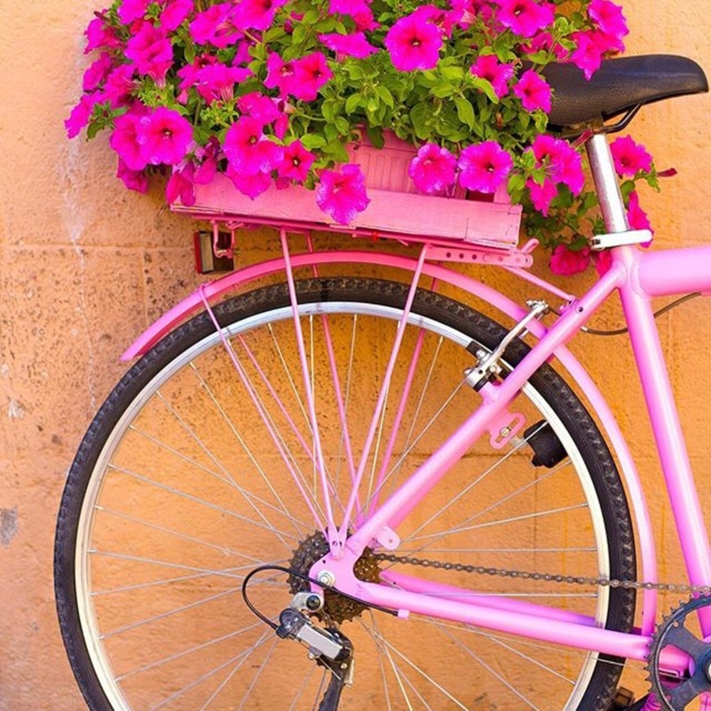 Meet your Posher, Brittney